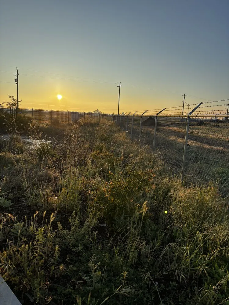 Expert landscaping services experts serving Madera, CA - Spritz N Blitz