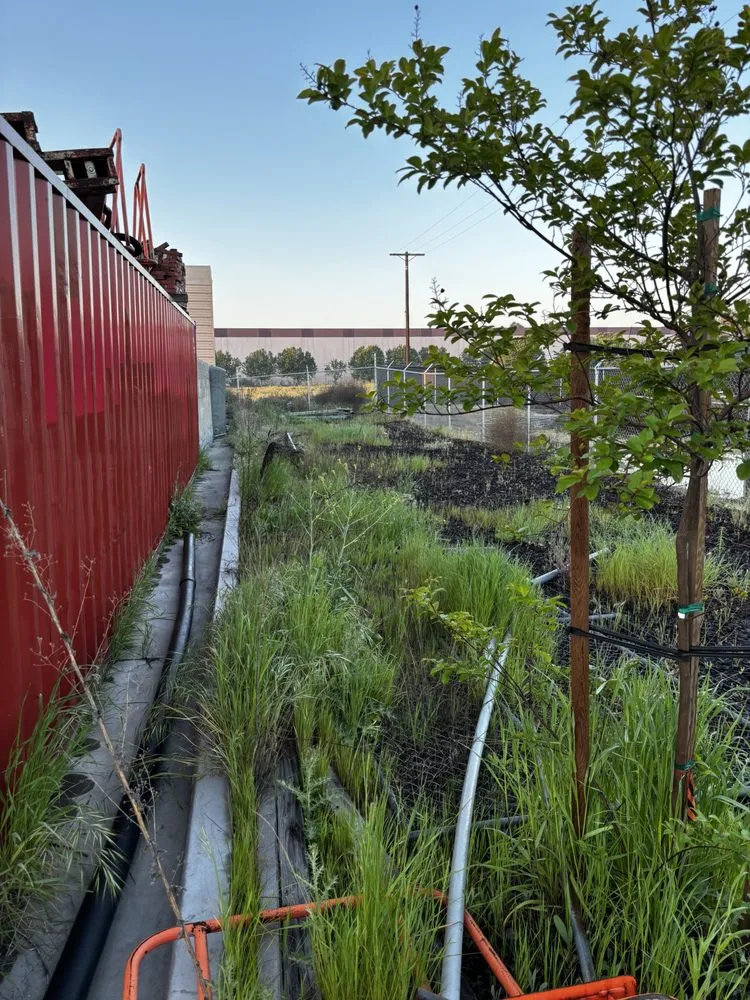 Local landscaping services in Madera, CA by Spritz N Blitz