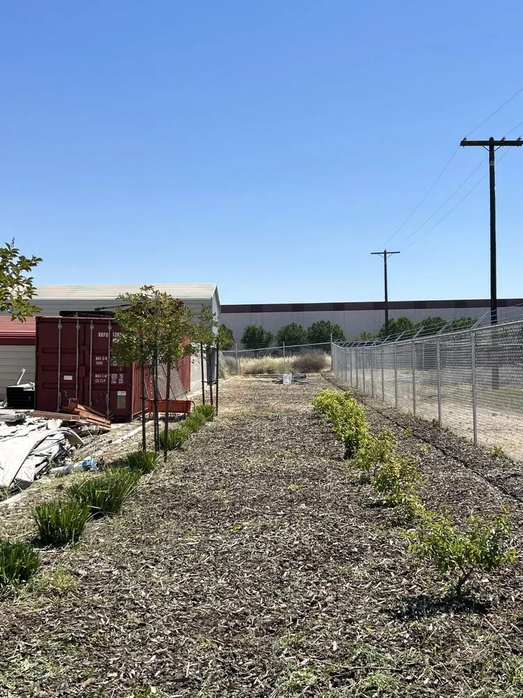 Top-rated yard cleanup service for residential properties across Madera, CA - Spritz N Blitz