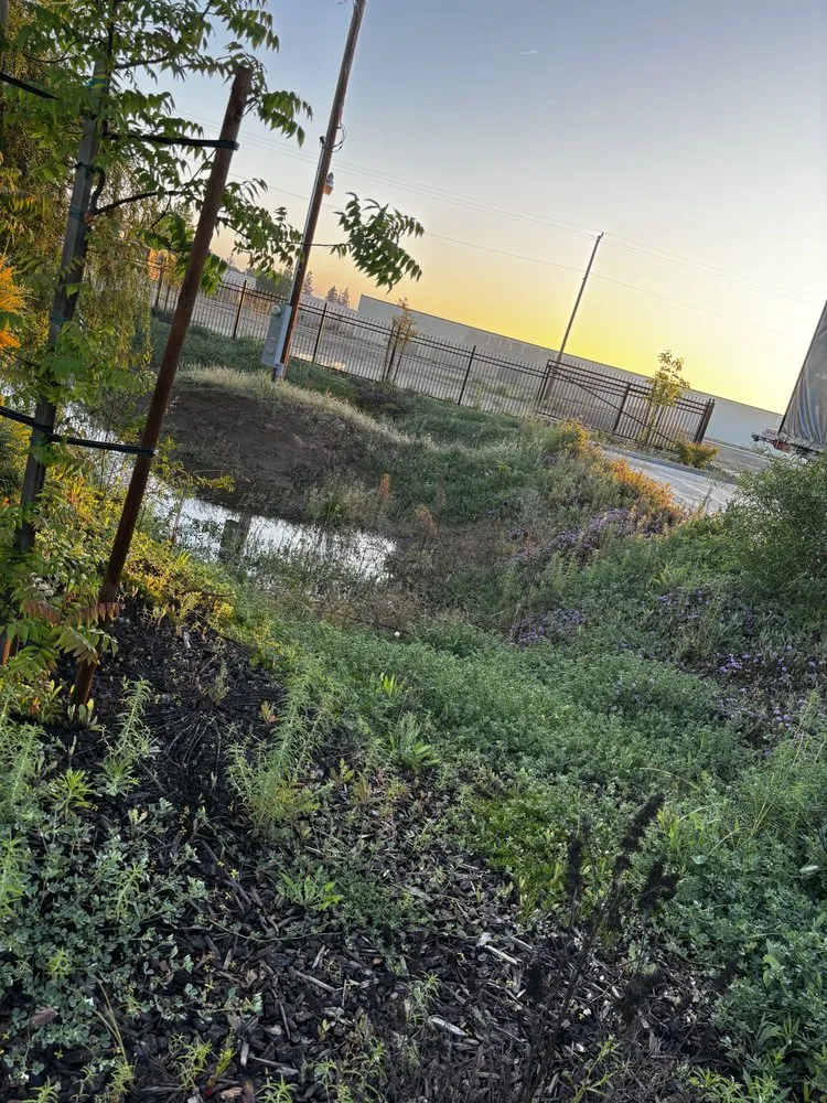 Local landscape installation in Madera, CA - Spritz N Blitz