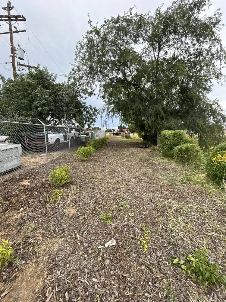 Affordable lawn mowing service for outdoor upgrades in Madera, CA by Spritz N Blitz