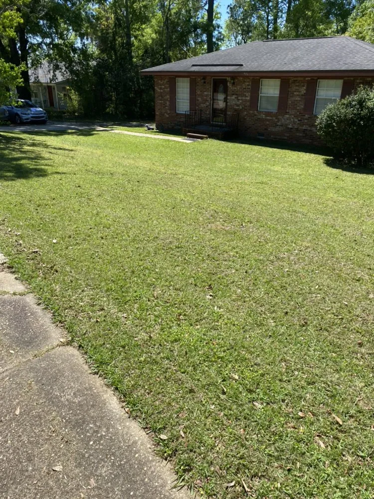 Local landscape design for outdoor upgrades in Chattahoochee, FL by Spro Cutz