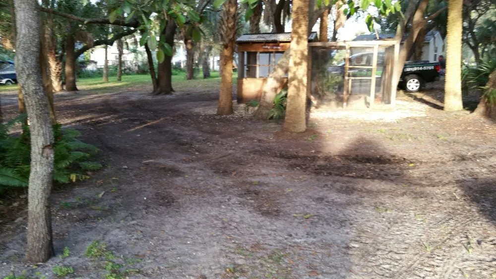Custom yard cleanup service in Melbourne, FL - Sprouse Services