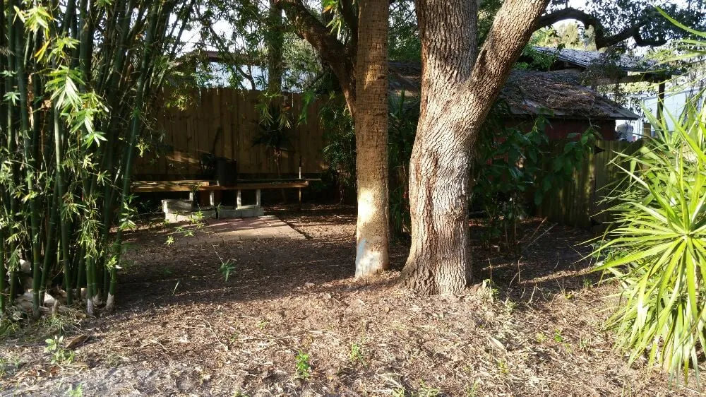 Top-rated yard maintenance near you across Melbourne, FL - Sprouse Services