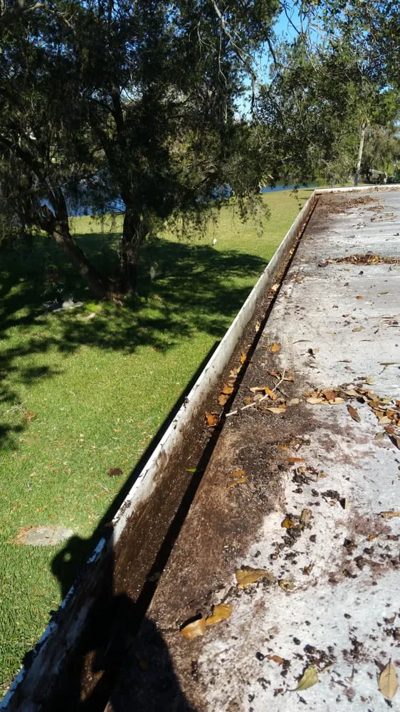 Expert landscape design in Melbourne, FL by Sprouse Services