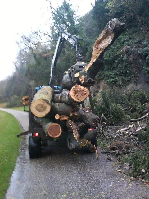 Local landscape design for residential properties across Myrtle Beach, SC - Sprouse's Landscaping