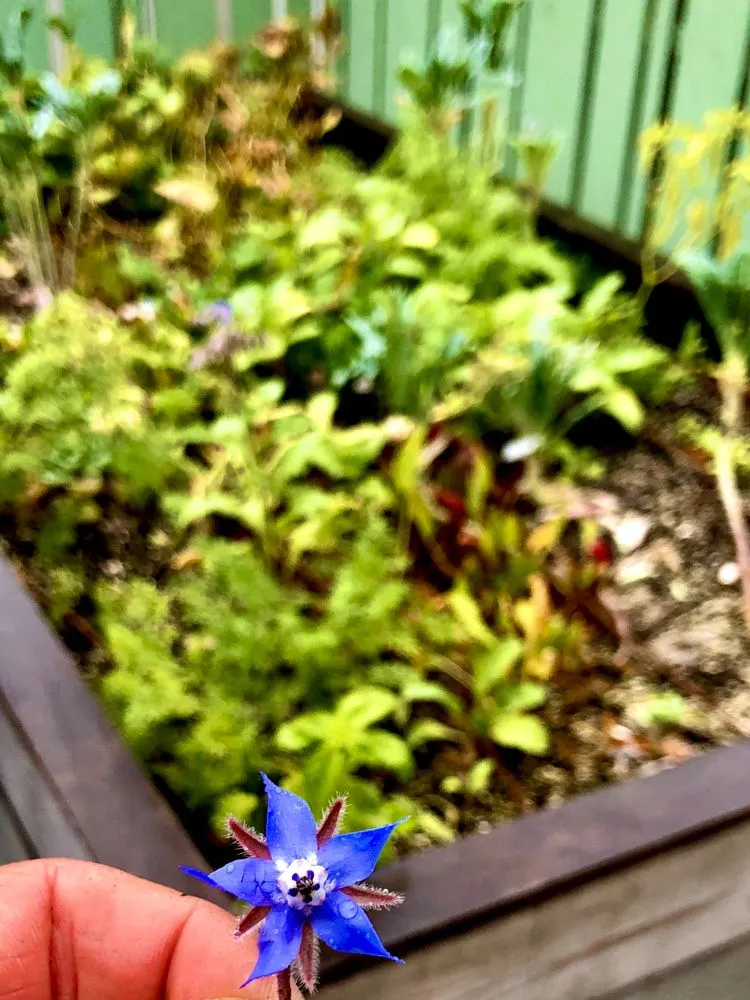 Reliable garden landscaping experts serving Teaneck, NJ - Sprout Farms & Gardens