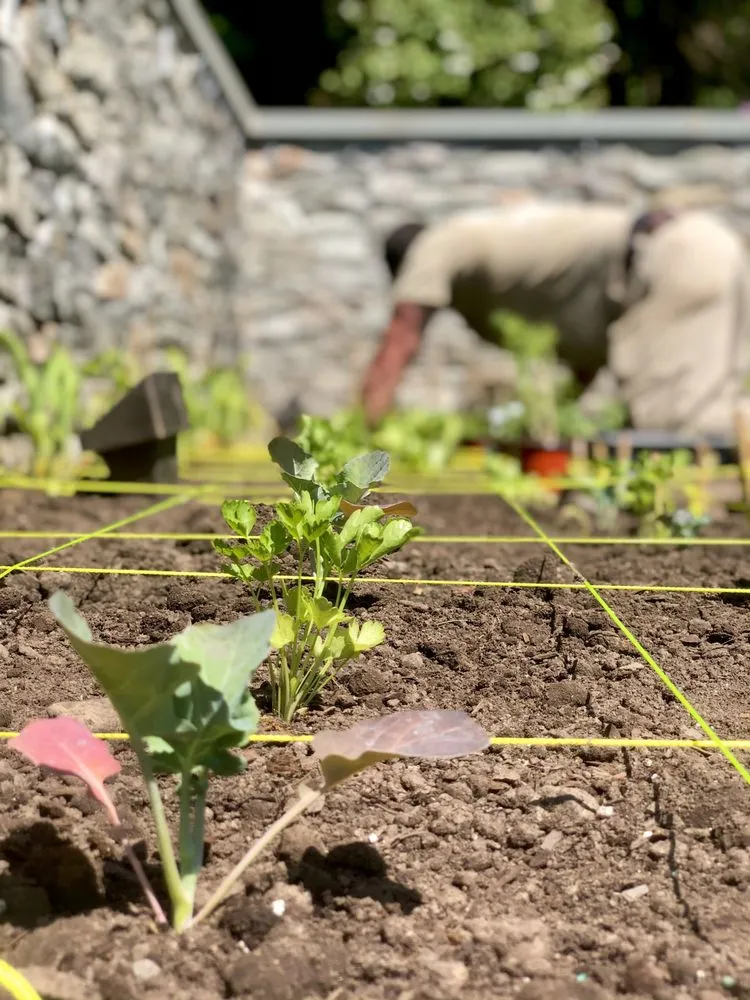 Local yard cleanup service in Teaneck, NJ - Sprout Farms & Gardens