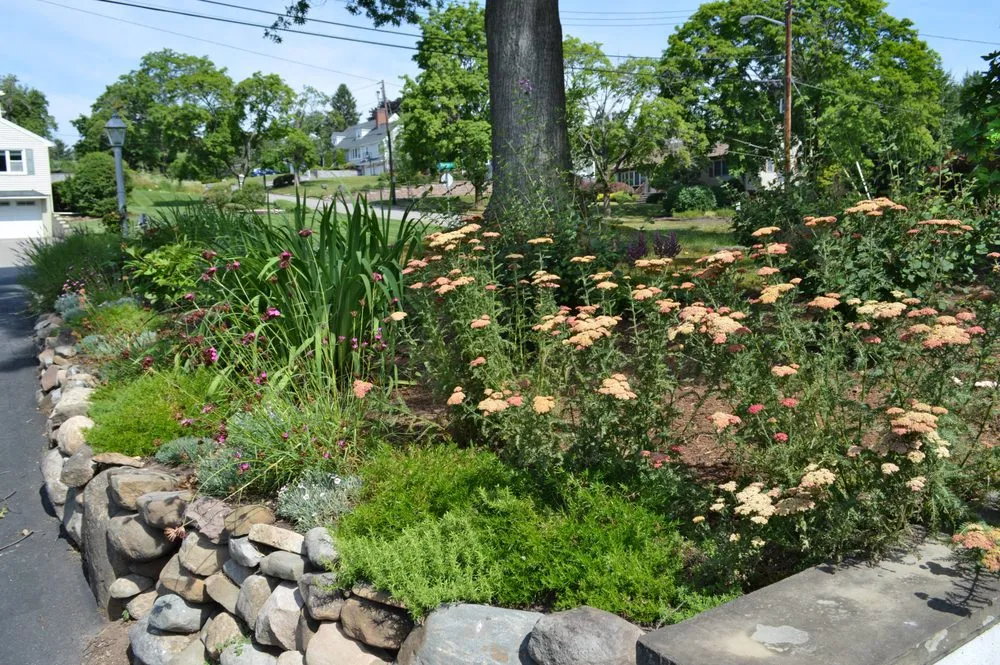 Local landscape design for year-round maintenance in Teaneck, NJ by Sprout Farms & Gardens