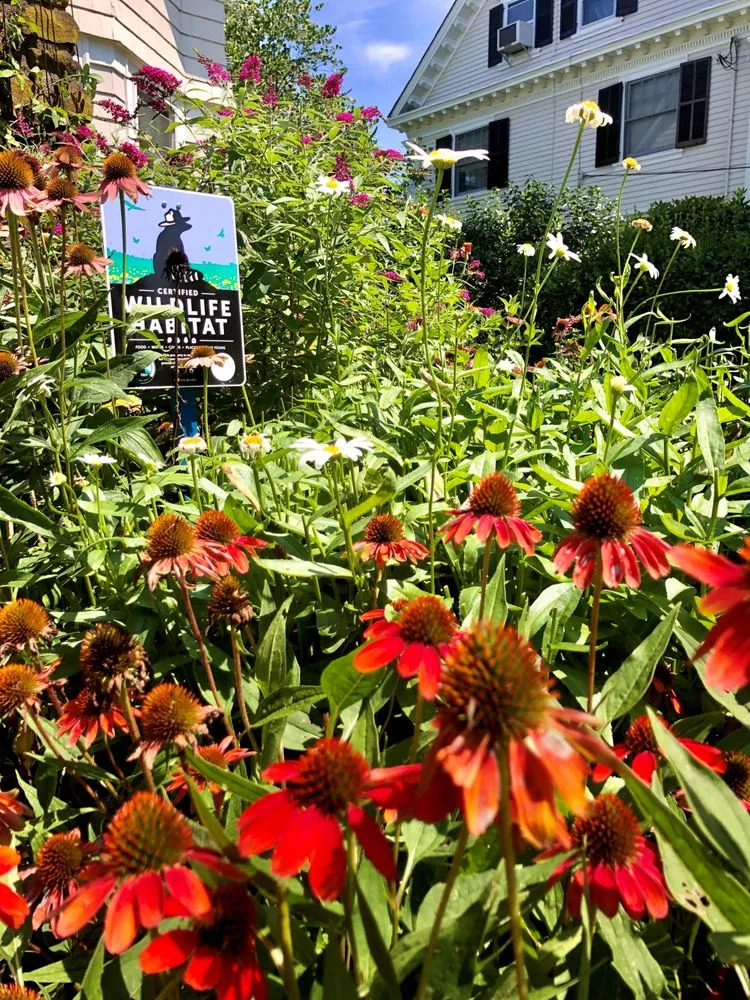 Expert residential landscaping with custom design across Teaneck, NJ - Sprout Farms & Gardens