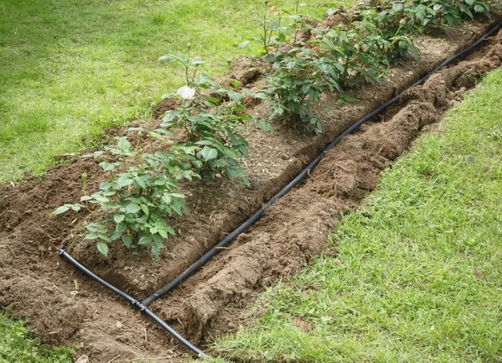 Top-rated yard cleanup service in Canyon Lake, TX - Sprout Irrigation