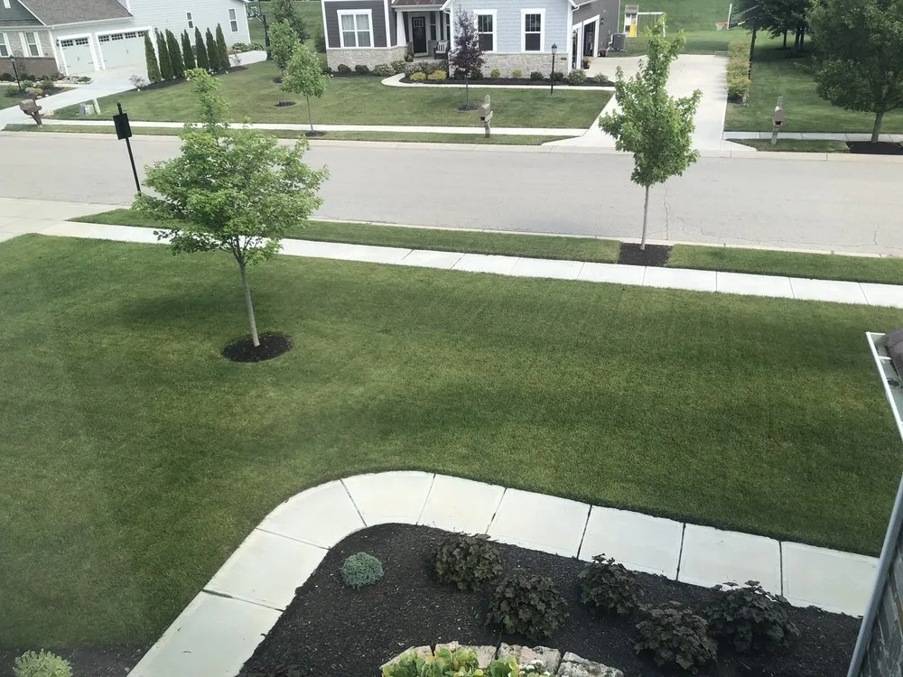 Trusted lawn care service in Noblesville, IN - Sprout Lawn & Landscape