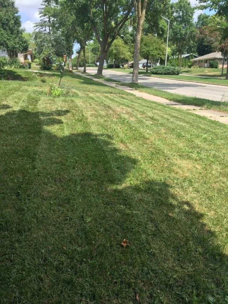 Affordable yard maintenance experts serving Waukesha, WI - Sprout Lawn Care