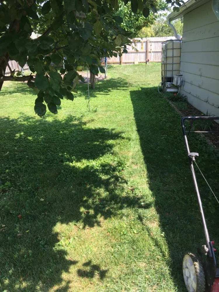 Expert landscaping services for homes across Waukesha, WI - Sprout Lawn Care