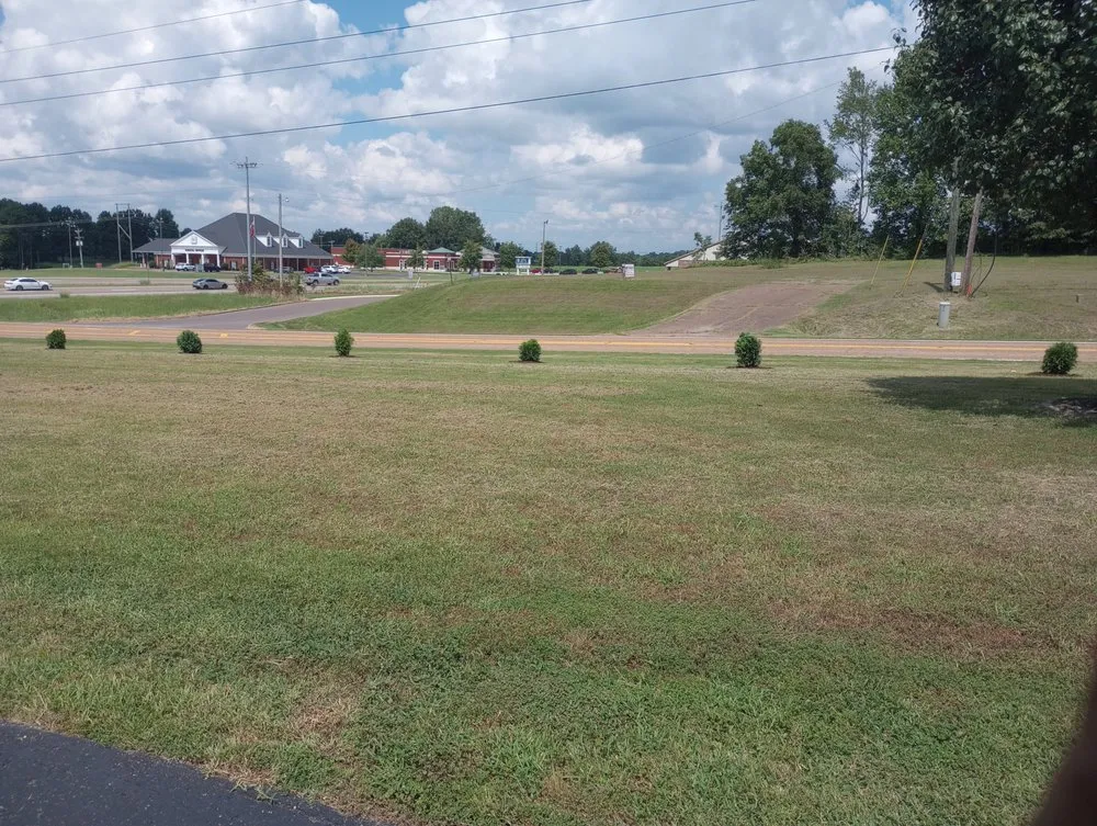 Expert landscape design for beautiful yards in Trezevant, TN by Sprouts Landscaping Service