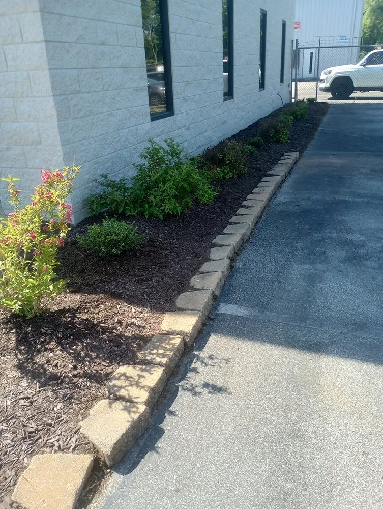 Top-rated residential landscaping in Trezevant, TN by Sprouts Landscaping Service