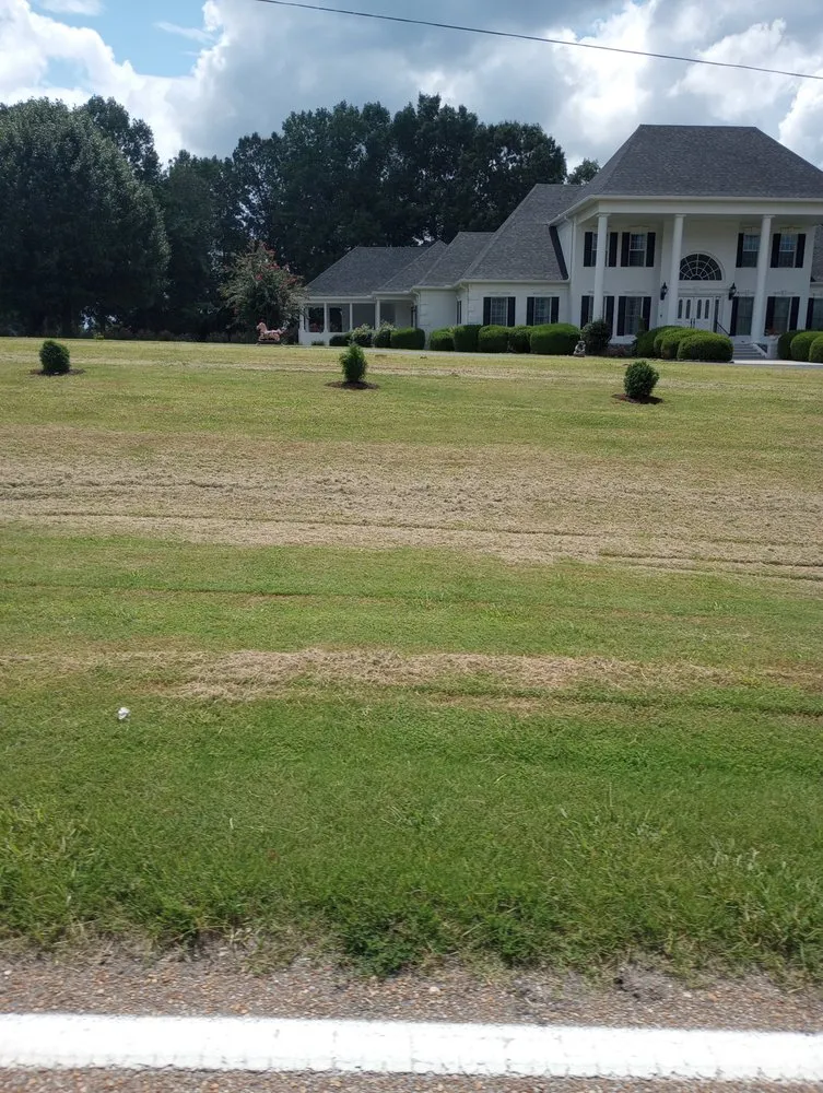 Trusted yard cleanup service for beautiful yards in Trezevant, TN by Sprouts Landscaping Service