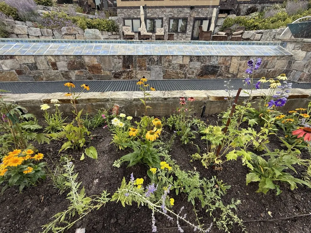 Custom landscape design experts serving Oceanside, CA - Sprouts Lawn Care