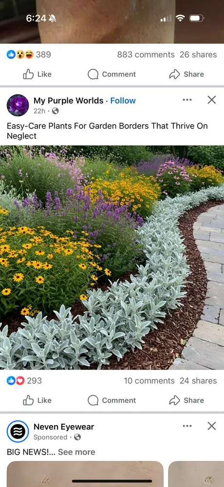 Professional yard cleanup service for beautiful yards across Oceanside, CA - Sprouts Lawn Care