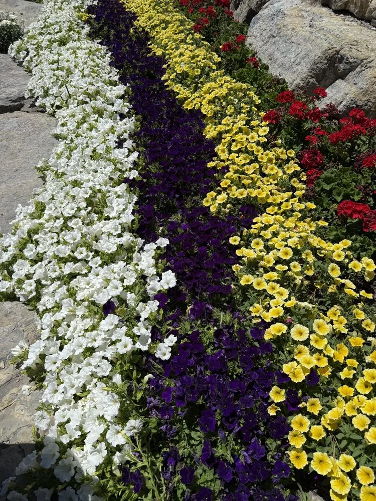 Professional landscaping services for homes across Oceanside, CA - Sprouts Lawn Care