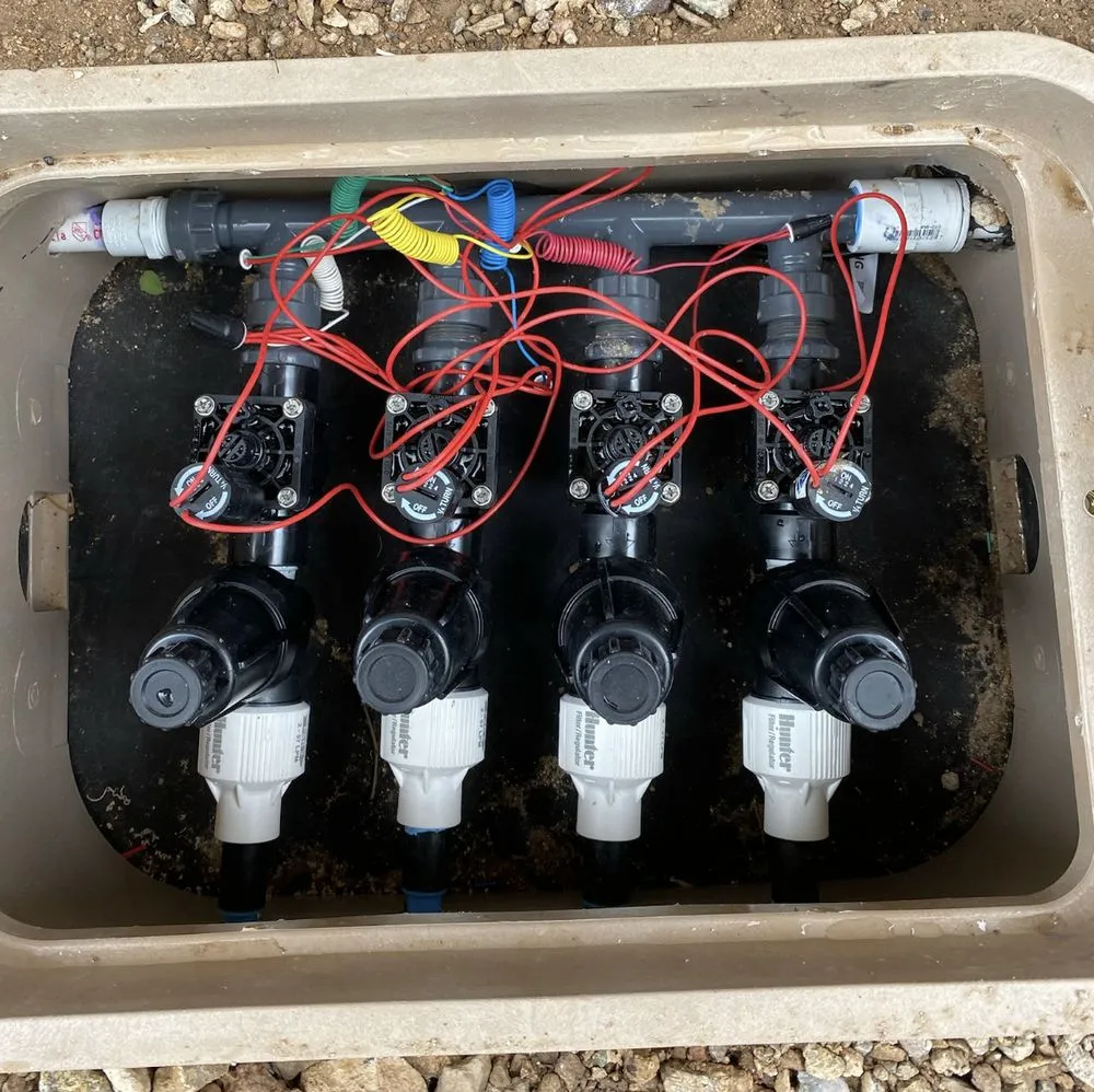 Expert yard cleanup service in Tucson, AZ - Sprouty Irrigation