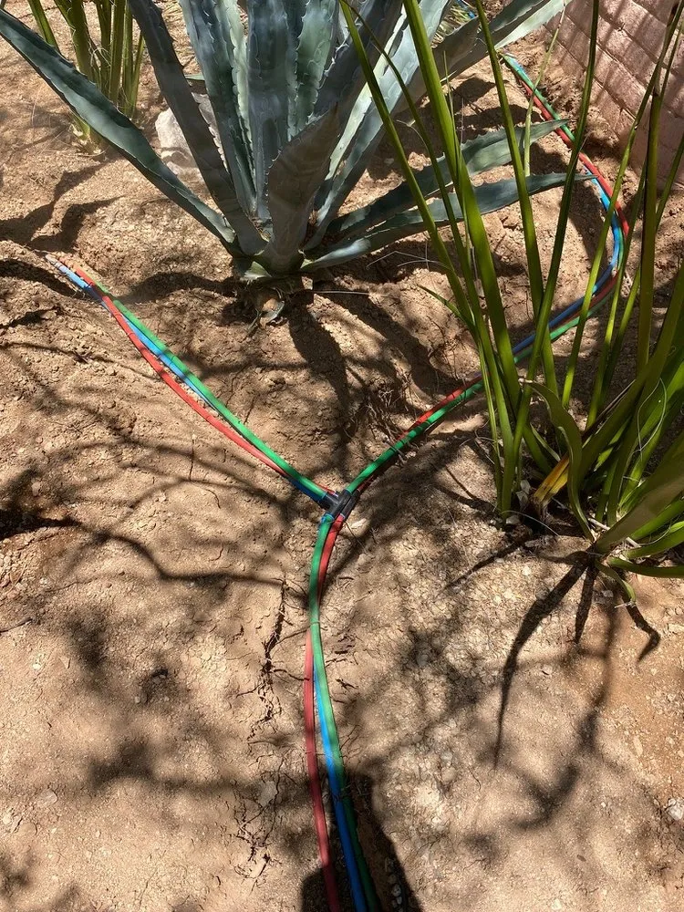 Trusted outdoor landscaping in Tucson, AZ by Sprouty Irrigation