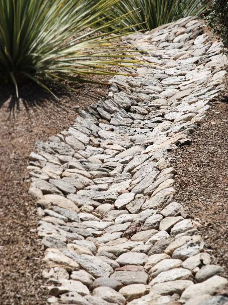 Top-rated residential landscaping for homes in Tucson, AZ by Sprouty Irrigation