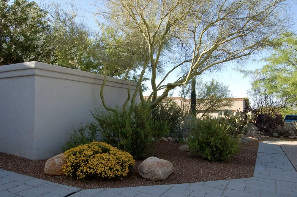 Expert landscaping services in Tucson, AZ - Sprouty Irrigation