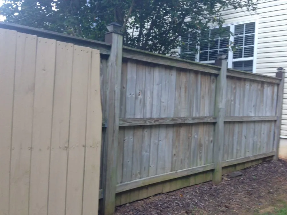 Affordable yard cleanup service in Dawsonville, GA - Spruce Goose Services