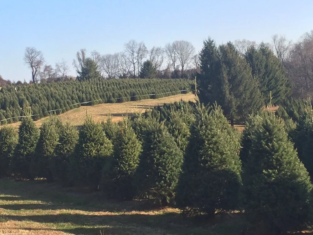 Custom garden landscaping experts serving Oxford, PA - Spruce Grove Tree Farm