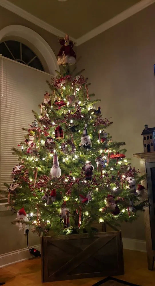 Expert yard cleanup service in Oxford, PA - Spruce Grove Tree Farm