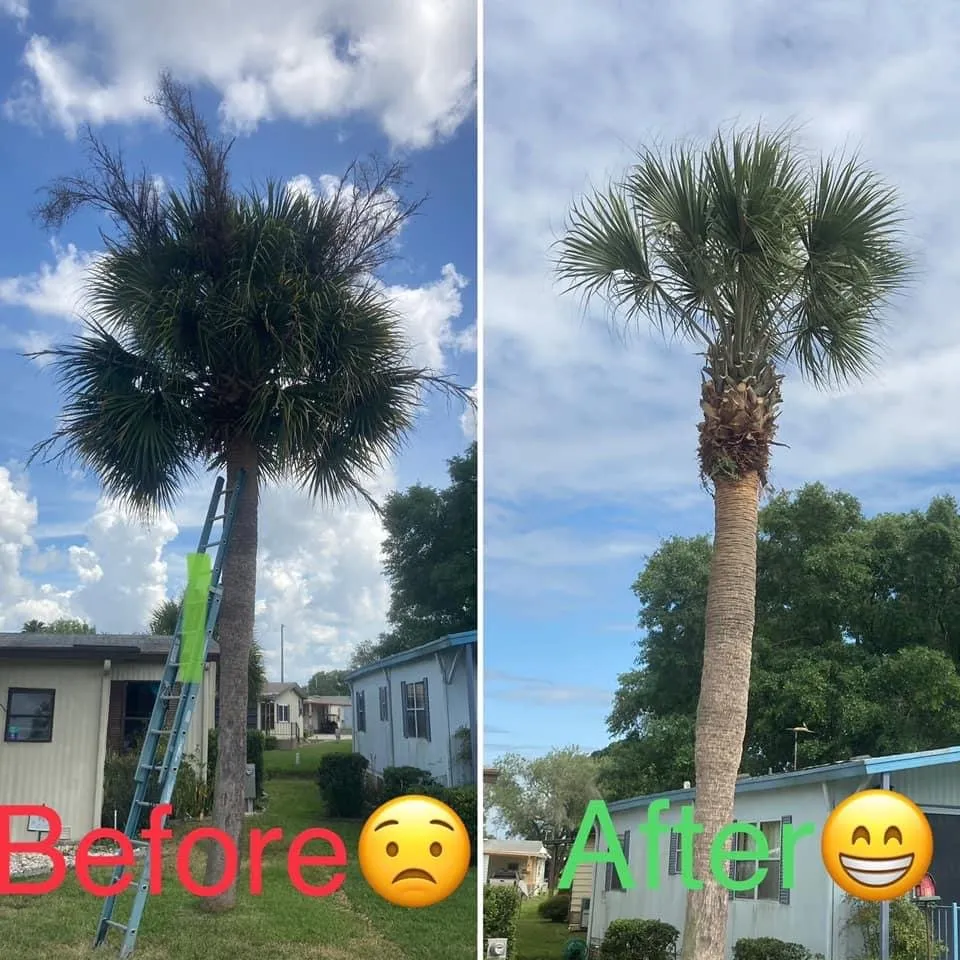 Local outdoor landscaping experts serving Plant City, FL - Spruce It UP Home Care