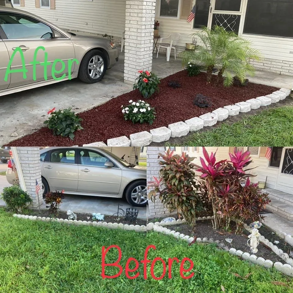 Affordable yard cleanup service in Plant City, FL by Spruce It UP Home Care
