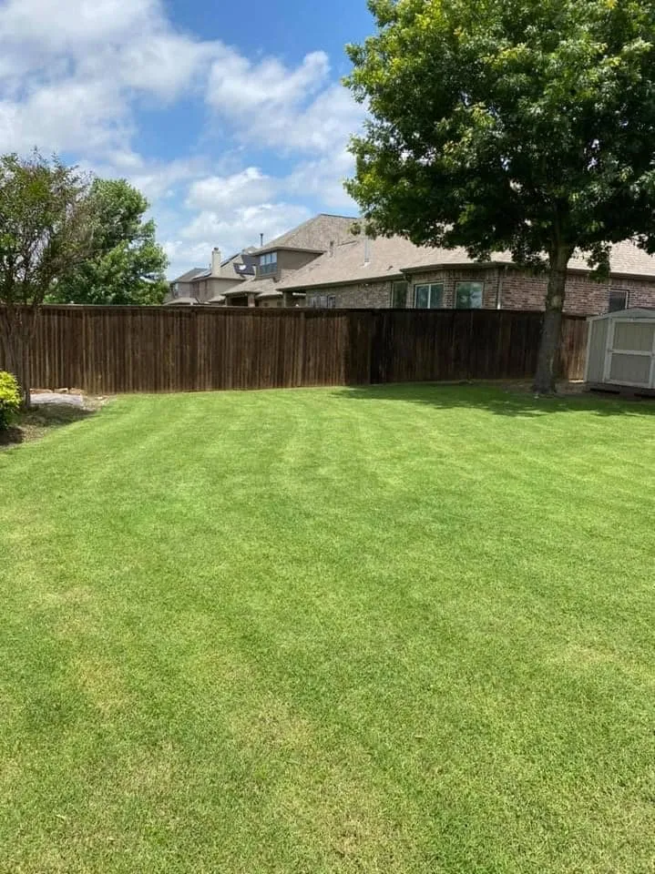 Reliable lawn care service for year-round maintenance across Melissa, TX - Spruce Lawn Care