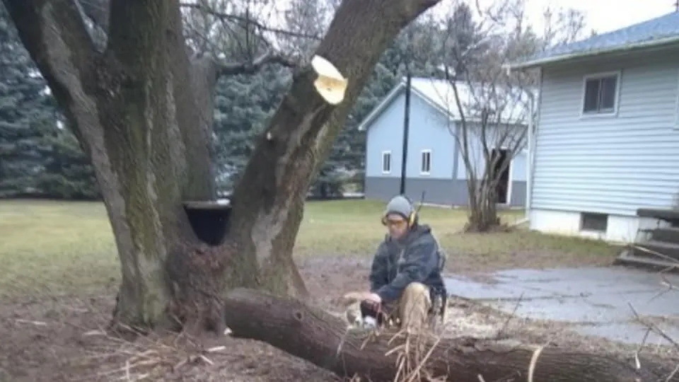 Local landscaping services experts serving Alma, MI - Spruce Lee Trees & All Your Outdoor Needs