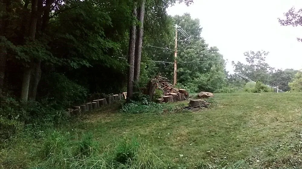 Trusted residential landscaping experts serving Alma, MI - Spruce Lee Trees & All Your Outdoor Needs