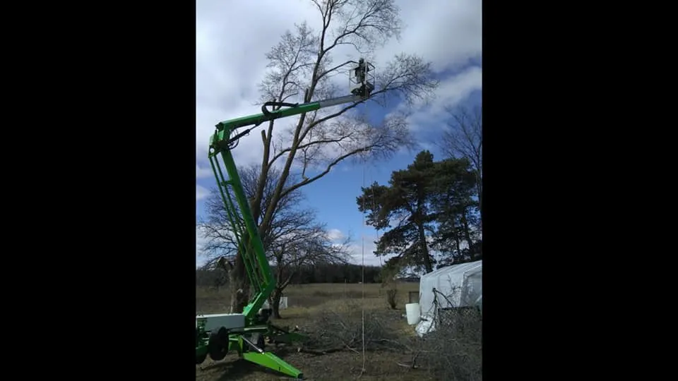 Affordable garden landscaping for homes in Alma, MI by Spruce Lee Trees & All Your Outdoor Needs