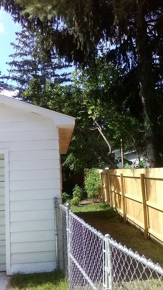 Custom landscaping services for residential properties across Alma, MI - Spruce Lee Trees & All Your Outdoor Needs