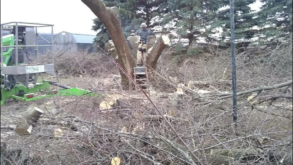 Expert lawn care service experts serving Alma, MI - Spruce Lee Trees & All Your Outdoor Needs