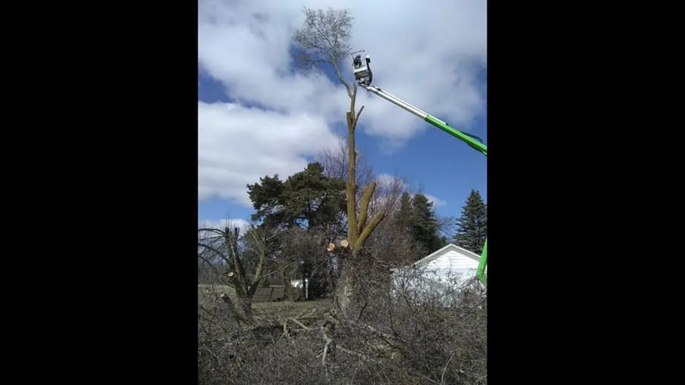 Professional lawn care service for year-round maintenance across Alma, MI - Spruce Lee Trees & All Your Outdoor Needs