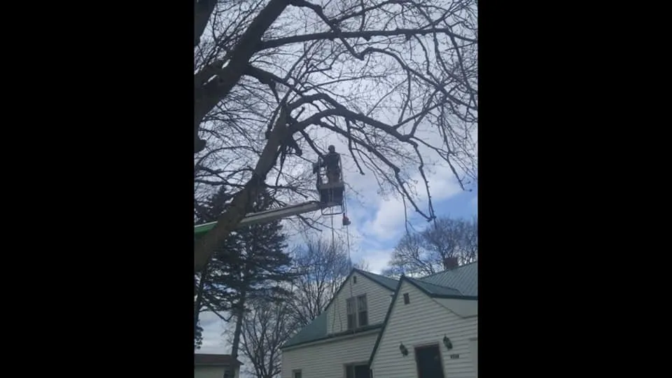 Affordable garden landscaping for beautiful yards across Alma, MI - Spruce Lee Trees & All Your Outdoor Needs