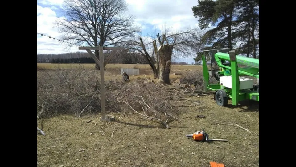 Reliable yard cleanup service experts serving Alma, MI - Spruce Lee Trees & All Your Outdoor Needs