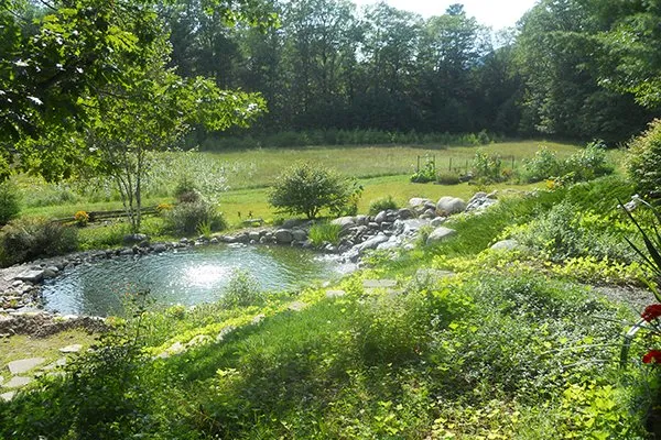 Top-rated yard cleanup service for outdoor upgrades across Keeseville, NY - Spruce Meadow Landscaping