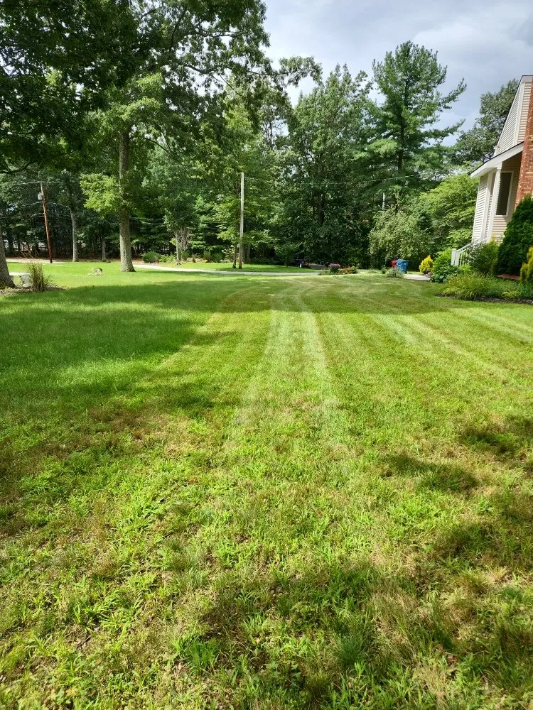 Reliable landscape installation in Merrimack, NH by Spruce Mountain Property Preservation