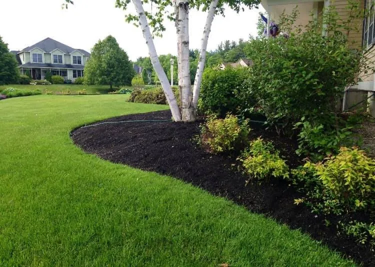 Expert landscape design with custom design in Windham, NH by Spruce Point