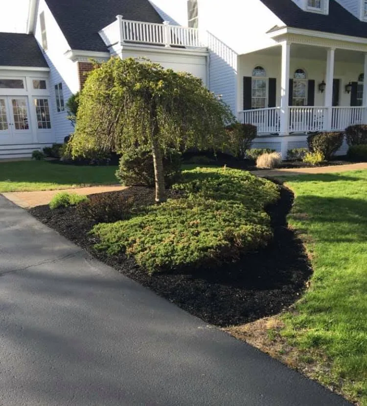 Top-rated lawn care service for outdoor upgrades across Windham, NH - Spruce Point