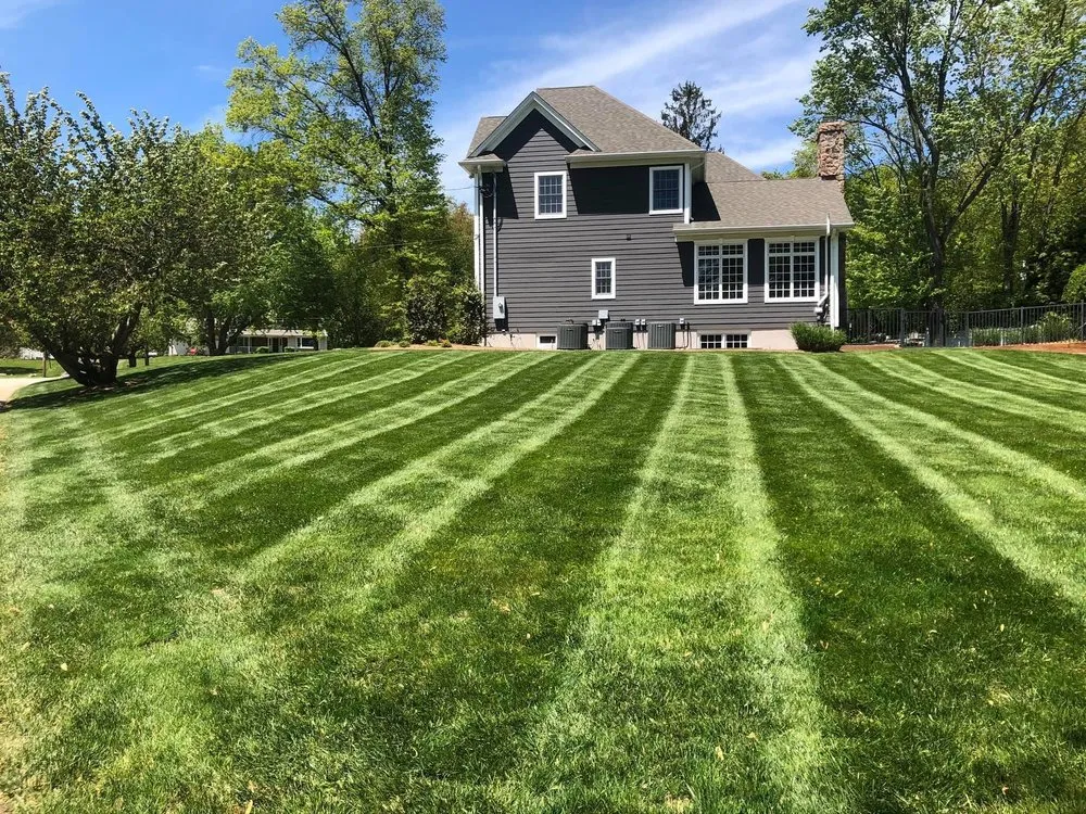 Affordable yard cleanup service in Mahwah, NJ by Spruce Springs Landscaping