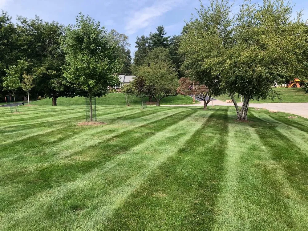 Professional residential landscaping in Mahwah, NJ by Spruce Springs Landscaping