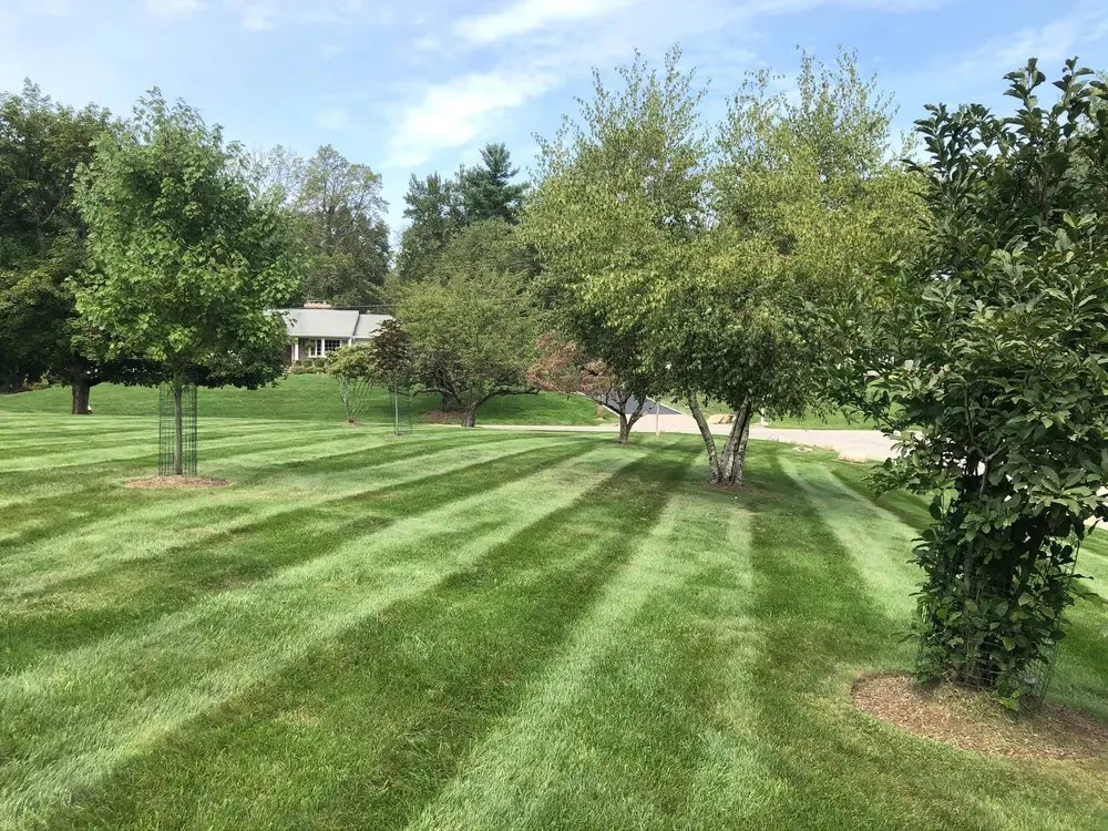 Affordable landscaping services for homes across Mahwah, NJ - Spruce Springs Landscaping