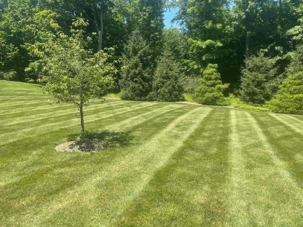 Top-rated landscape installation for residential properties across Mahwah, NJ - Spruce Springs Landscaping